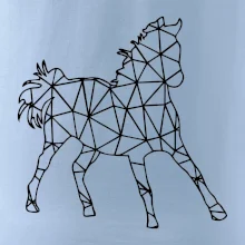 Geometria - kôň Geometria - kôň