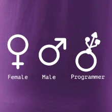 Female male programmer