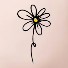 Kopretina - dole na výšku