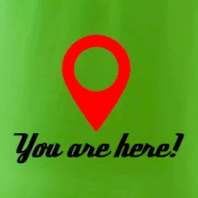 You are here