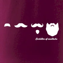 Evolution mustache Evolution mustache
