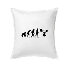 Evolution fitness Evolution fitness