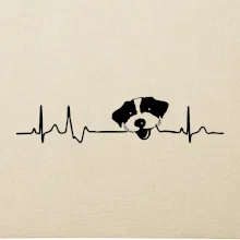 Jack Russell Teriér hrubosrstý Ekg