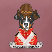 Napoleon domáci kríženec