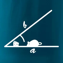 Matematická myš Matematická myš