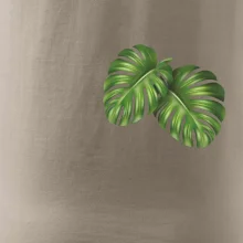 Monstera listy na prsu