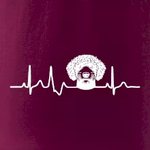 Lagotto romagnolo hlava EKG