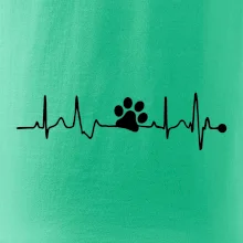 Ekg psia labka Ekg psia labka