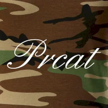 Prcat (súložiť vulgárne) Prcat (súložiť vulgárne)