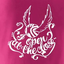 Harry - Zlatá strela