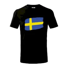 Švédsko vlajka štetkou