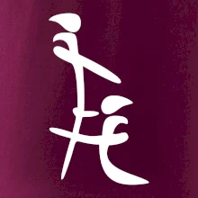 Čínský znak Čínský znak