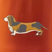 Vintage basset