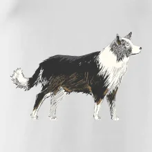 Border kólia kreslená