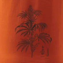 Konope kvietok čiernobiely  