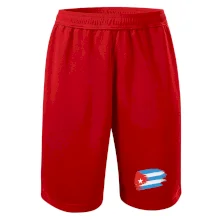 Kuba vlajka Kuba vlajka