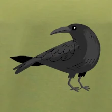 Vrana kreslená (studio-arte.cz)