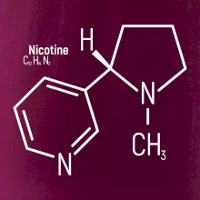 Molekulárna štruktúra Nikotín