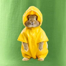 Králik v pláštenke