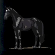 Čierny kôň pixel Čierny kôň pixel