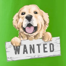 Zlatý retriever - šteniatko wanted