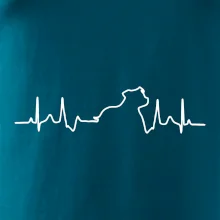 Stafordšírsky bulteriér ‎ EKG