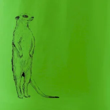 Surikata čierna kresba