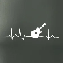 EKG akustická gitara EKG akustická gitara