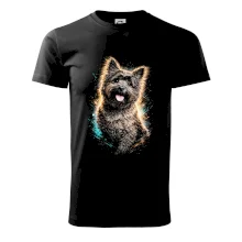 Obrázok poltón Cairn teriér