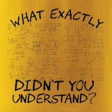 What exactly didn't you understand - physics