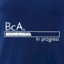 In progress titul BcA. bakalár / bakalárka umenia