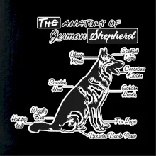 Nemecký ovčiak - Anatómia Nemecký ovčiak - Anatómia