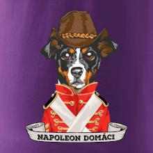 Napoleon domáci kríženec
