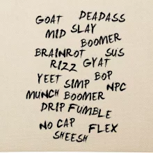 Generácia Z - Gén Z slovník