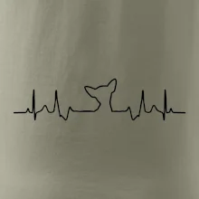 Čivava EKG Čivava EKG