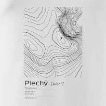 Plechý - vrstevnice v obdĺžniku