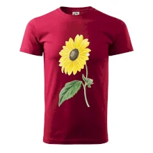 Slnečnica otočená