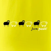Som pasák - ovce v rade