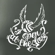 Harry - Zlatá strela Harry - Zlatá strela