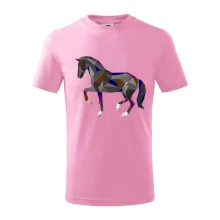 Kôň geometria farebný