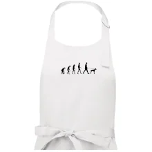 Evolúcia pes stavač Evolúcia pes stavač