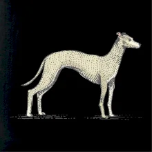 Vintage Whippet