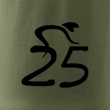 Cyklista oslavuje dvadsaťpäťku (25)