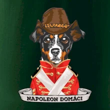 Napoleon domáci kríženec