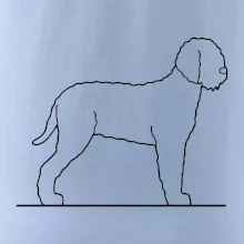 Lagotto romagnolo stojaci