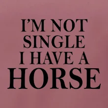 I have a horse