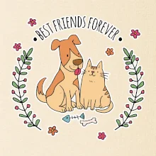 Mačka a pes best friends