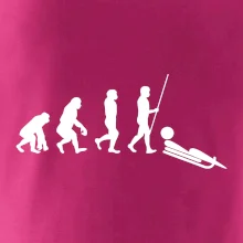 Evolúcia jazdy na bôbu