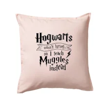 Harry - Hogwarts wasn’t hiring, so I teach Muggles instead