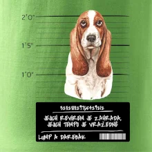 Baset - lump a darebák  